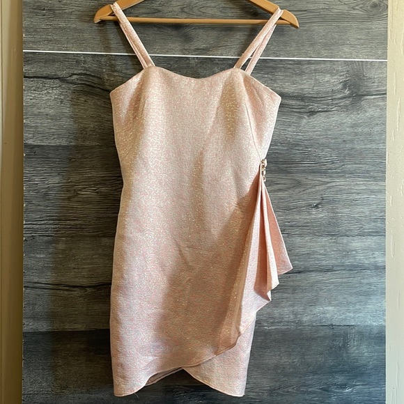 Pamella Roland Dresses & Skirts - Pamella Roland Metallic Pearl Pink Evening Dress